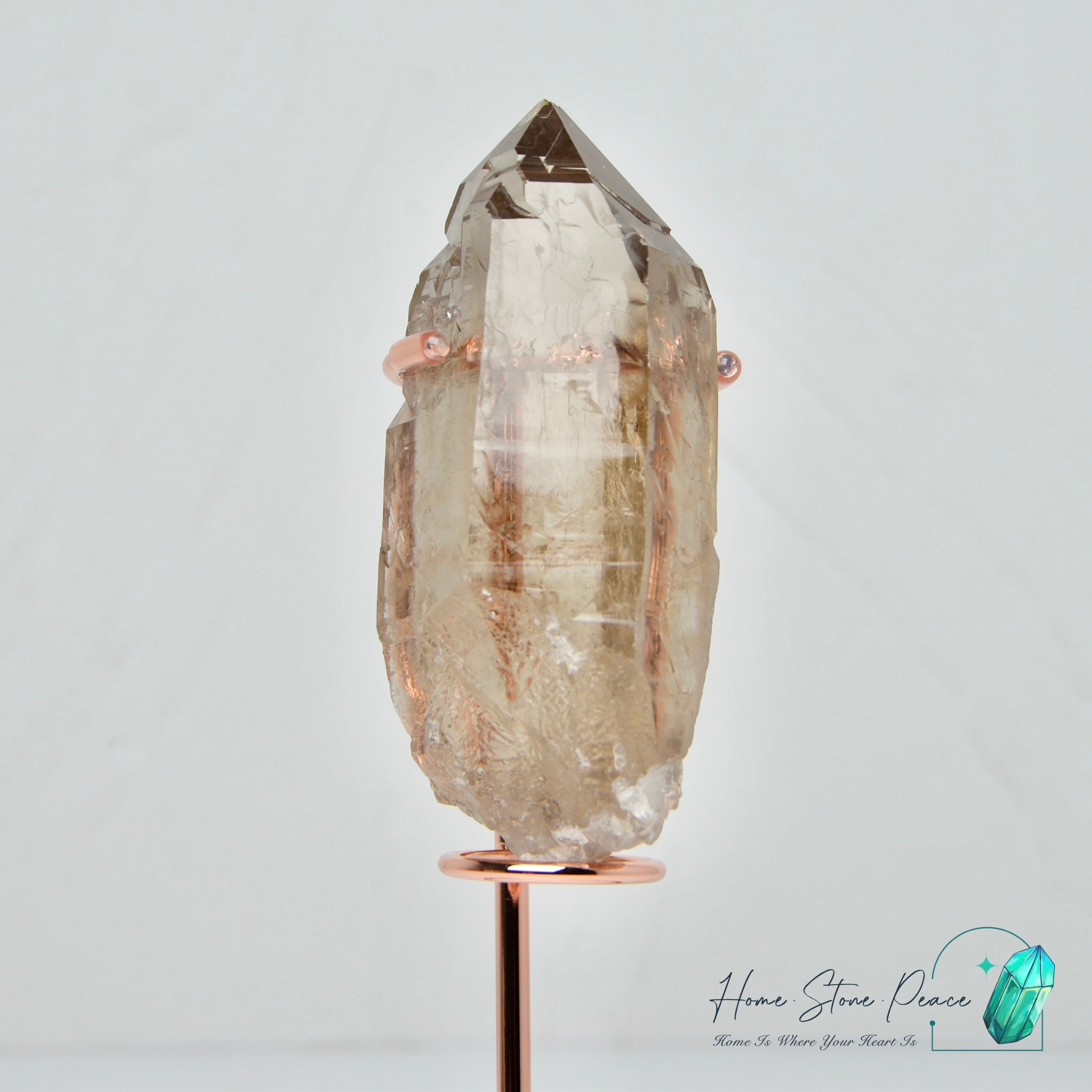 茶晶金髮晶共生 Smoky Quartz with Gold Rutile