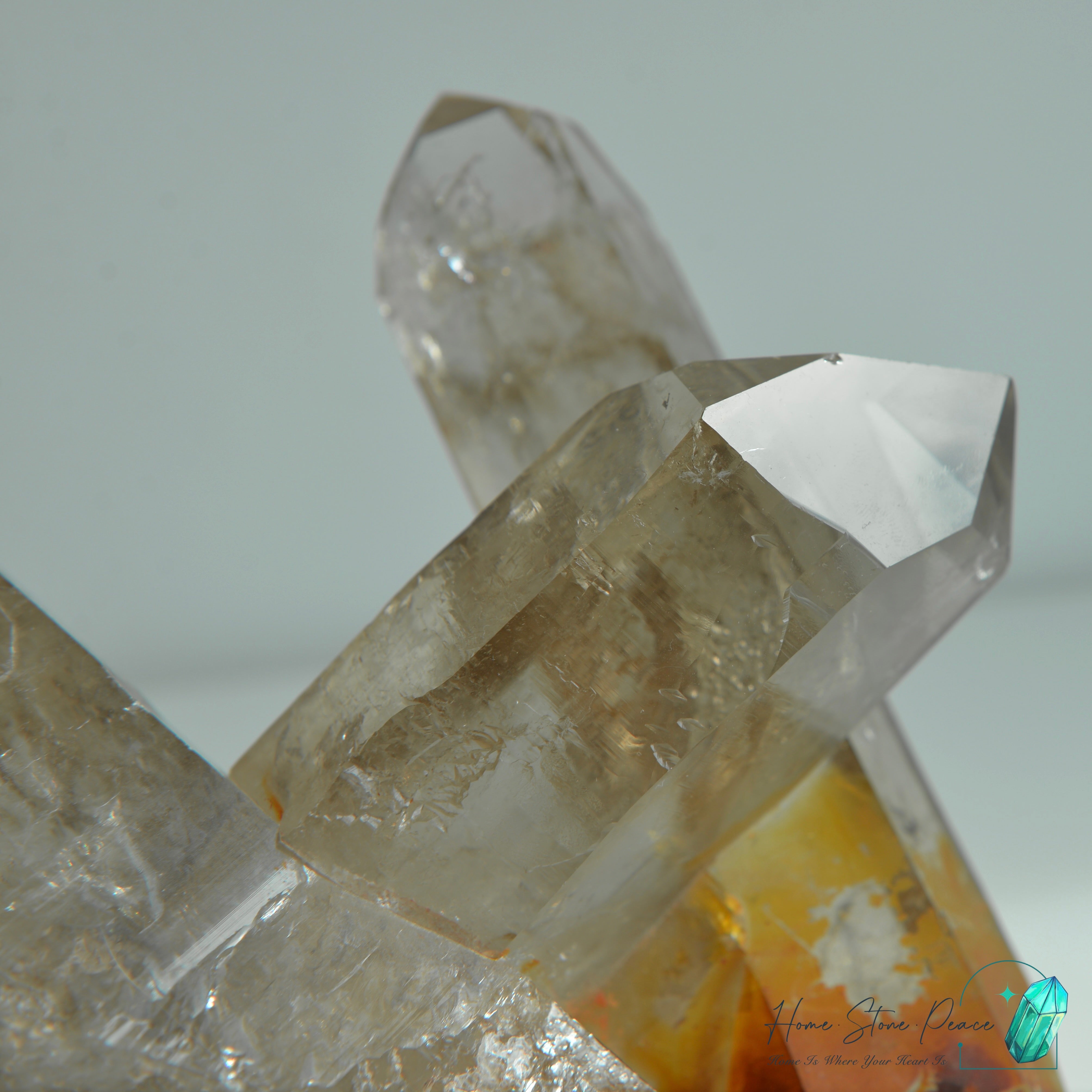 巴西茶晶簇黃金療癒者共生 Brazilian Smoky Quartz Cluster with Golden Healer