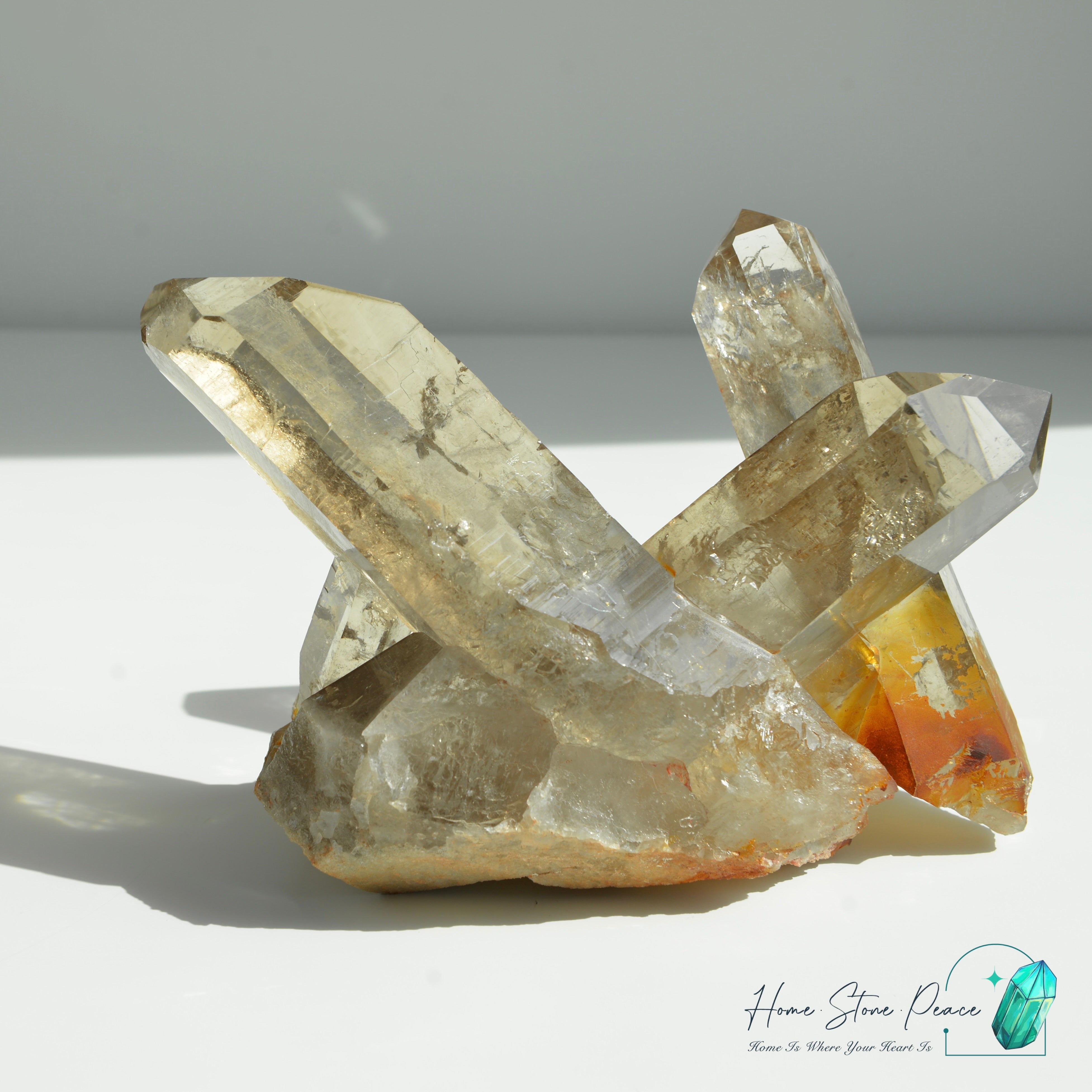 巴西茶晶簇黃金療癒者共生 Brazilian Smoky Quartz Cluster with Golden Healer