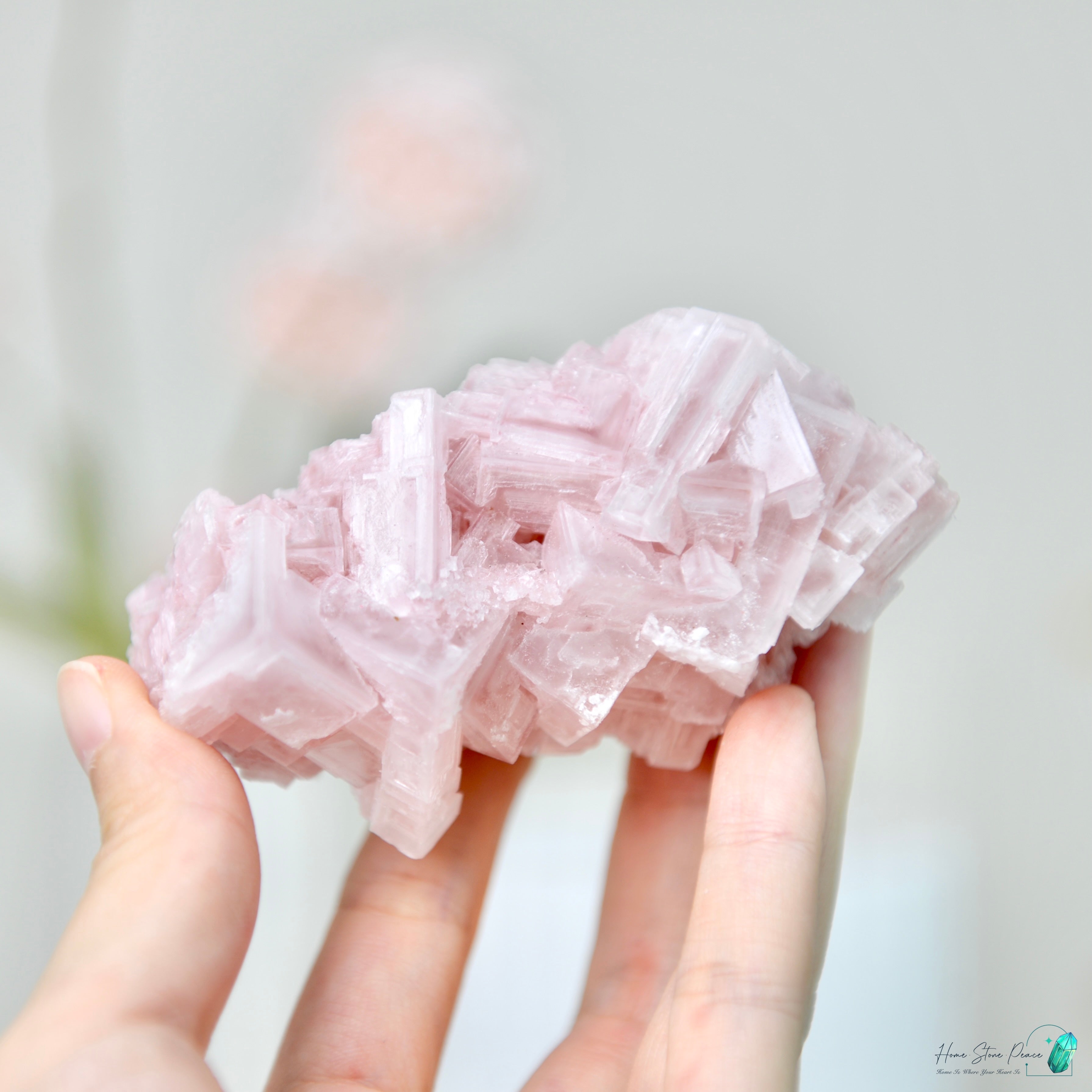 塞爾斯湖粉紅鹽礦 Natural Searles Lake Pink Halite