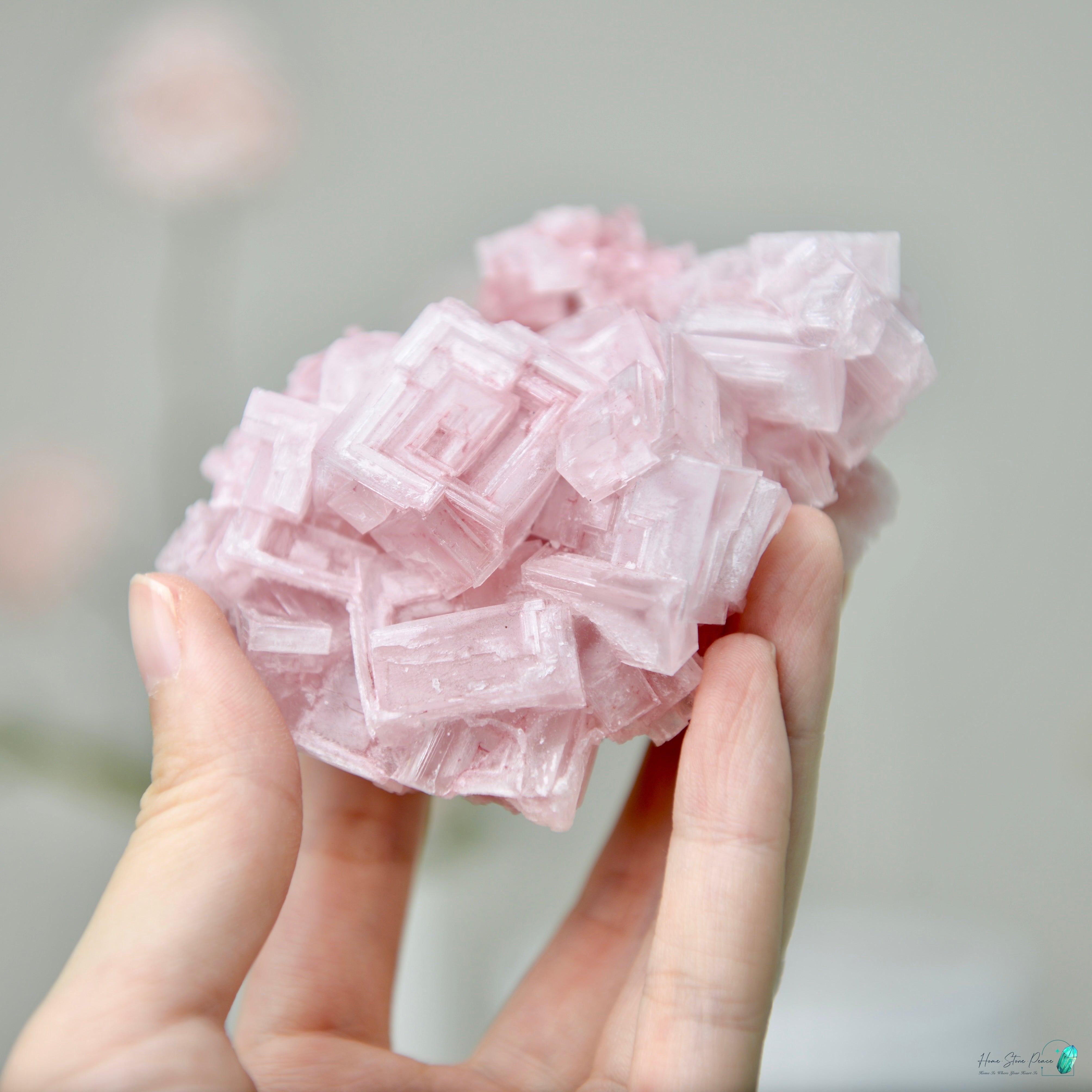 塞爾斯湖粉紅鹽礦 Natural Searles Lake Pink Halite