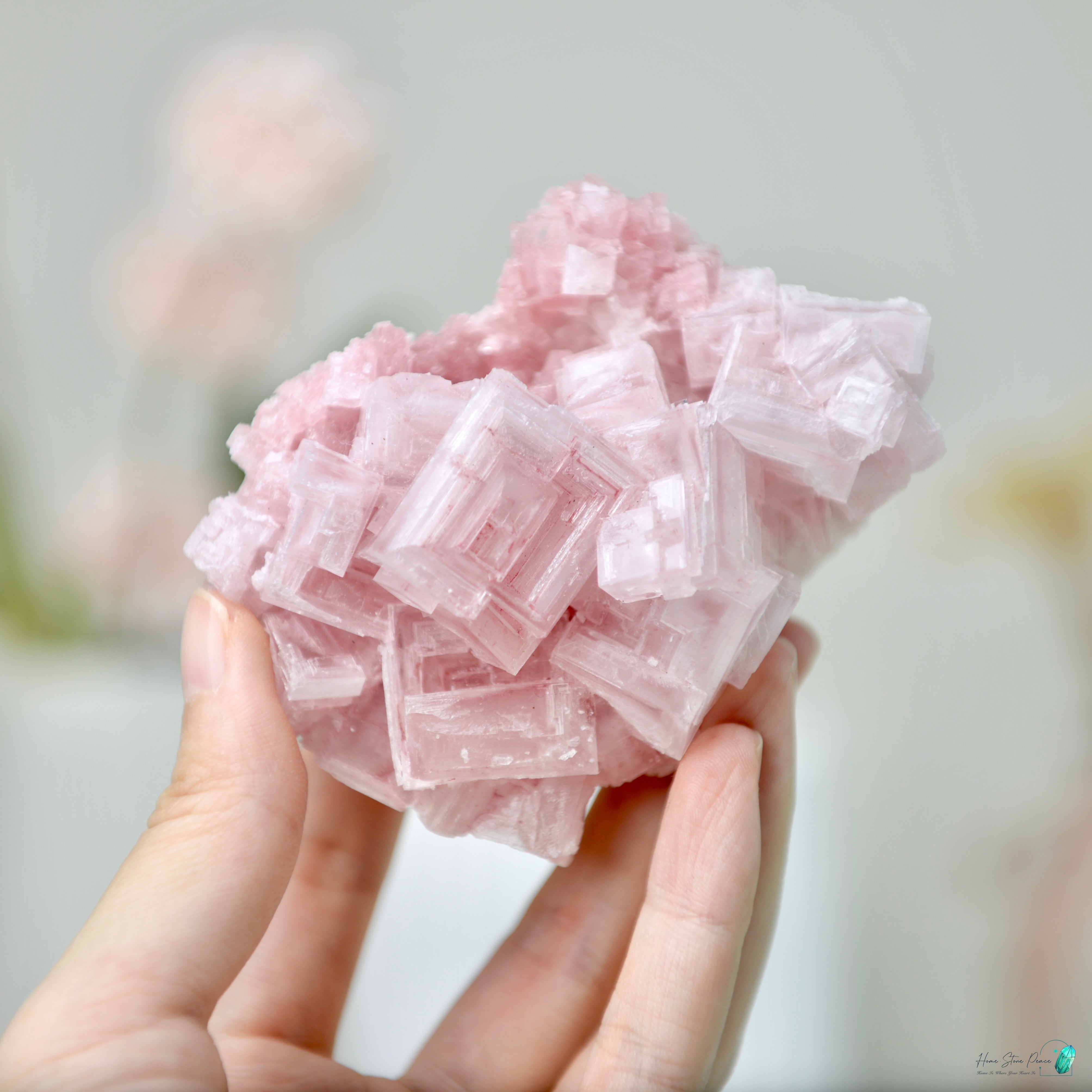 塞爾斯湖粉紅鹽礦 Natural Searles Lake Pink Halite