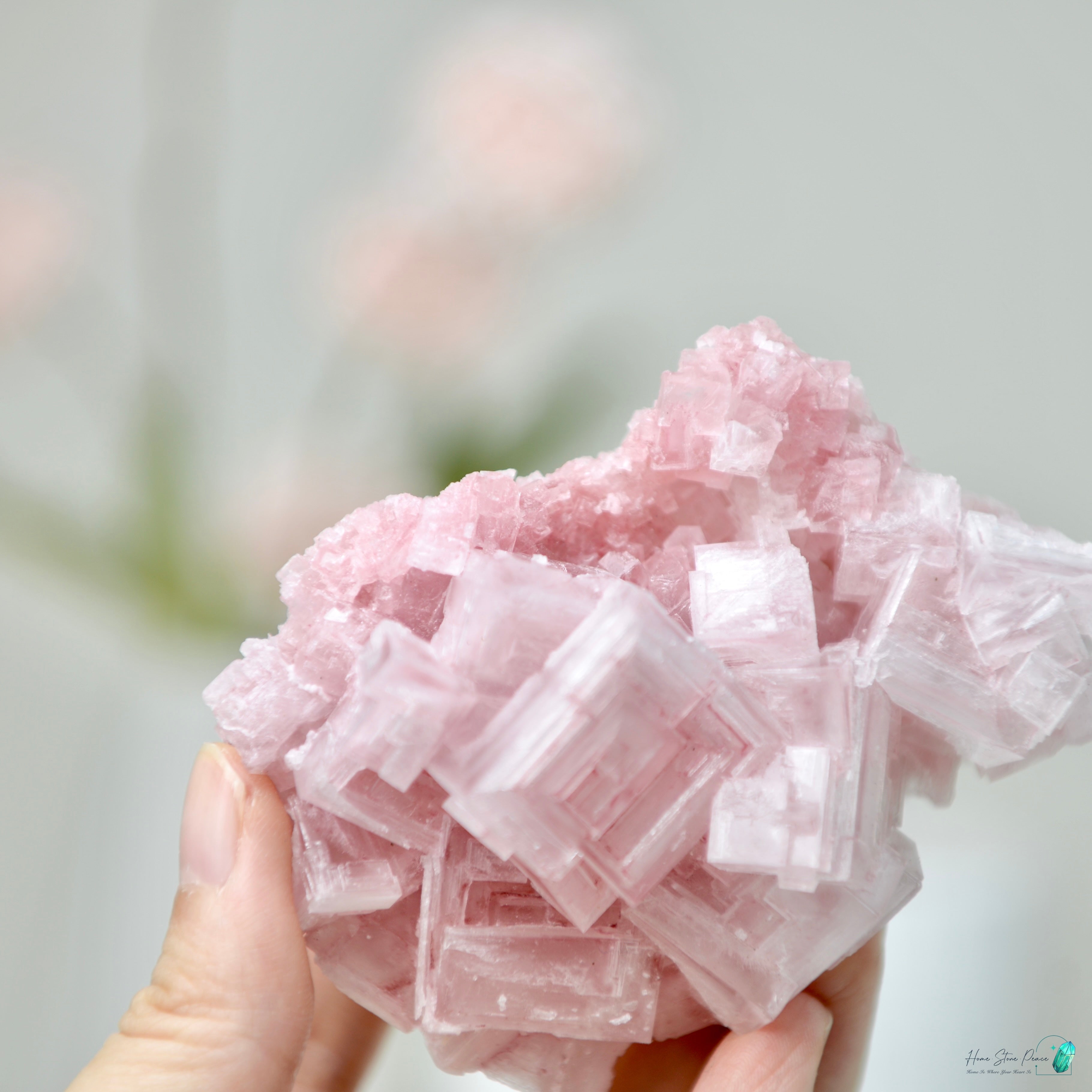 塞爾斯湖粉紅鹽礦 Natural Searles Lake Pink Halite