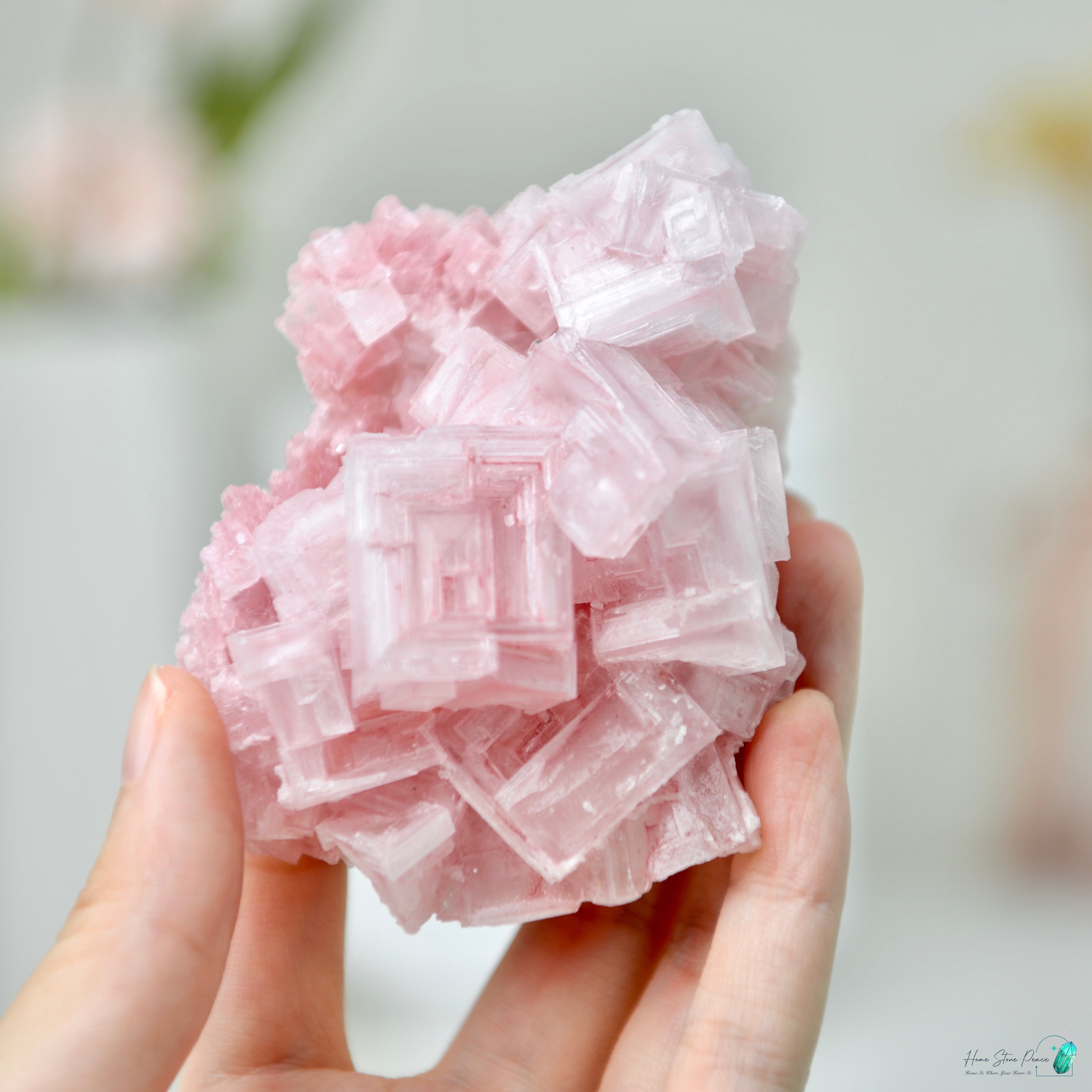 塞爾斯湖粉紅鹽礦 Natural Searles Lake Pink Halite