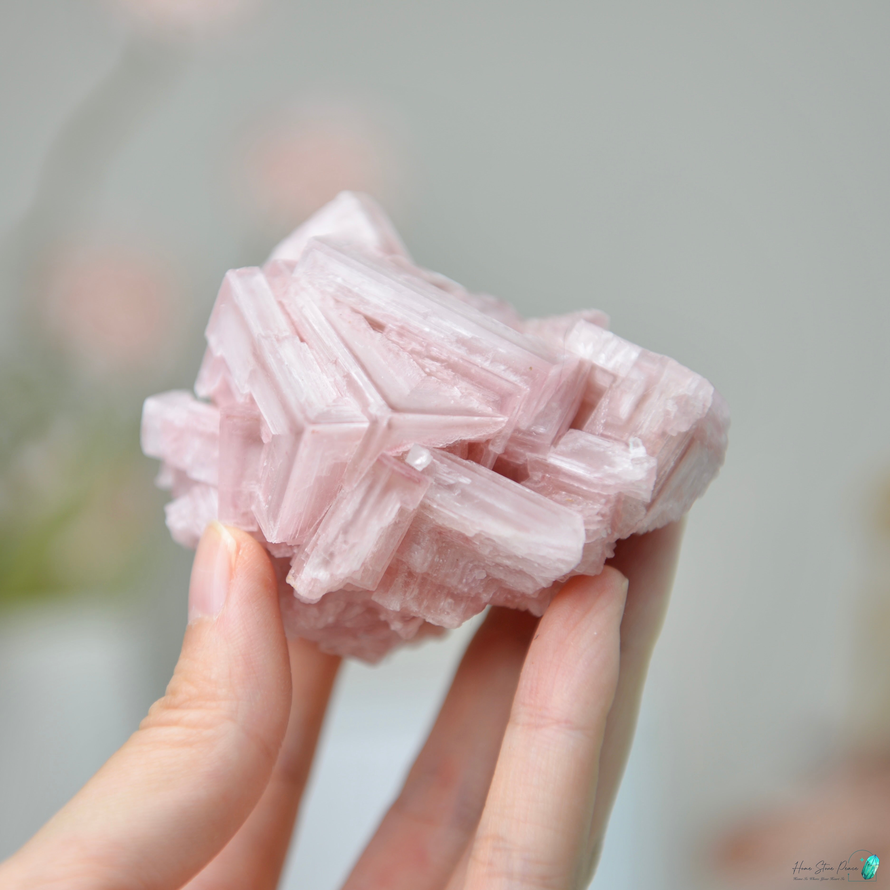 塞爾斯湖粉紅鹽礦 Natural Searles Lake Pink Halite