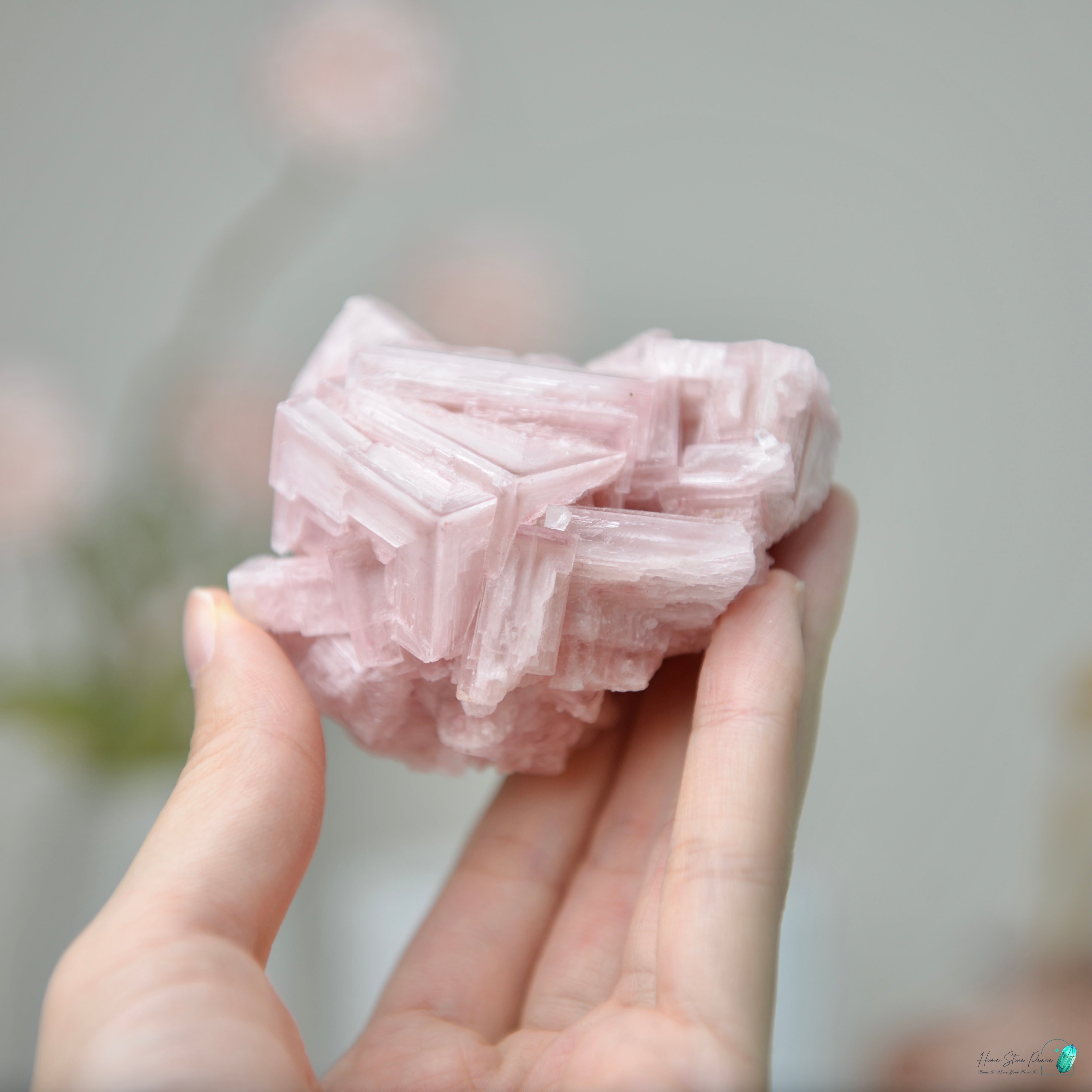 塞爾斯湖粉紅鹽礦 Natural Searles Lake Pink Halite