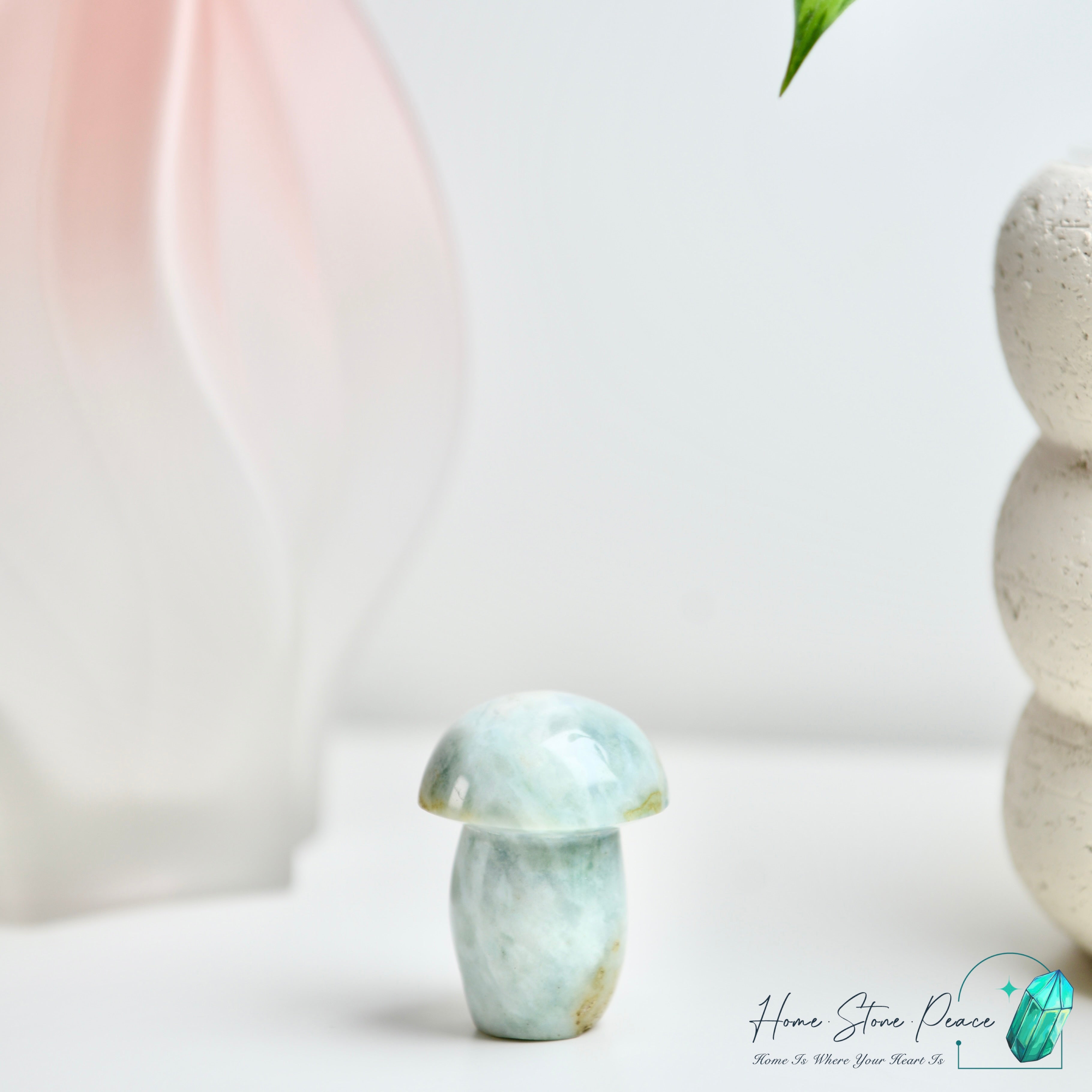 海洋碧玉蘑菇 Ocean Jasper Mushroom