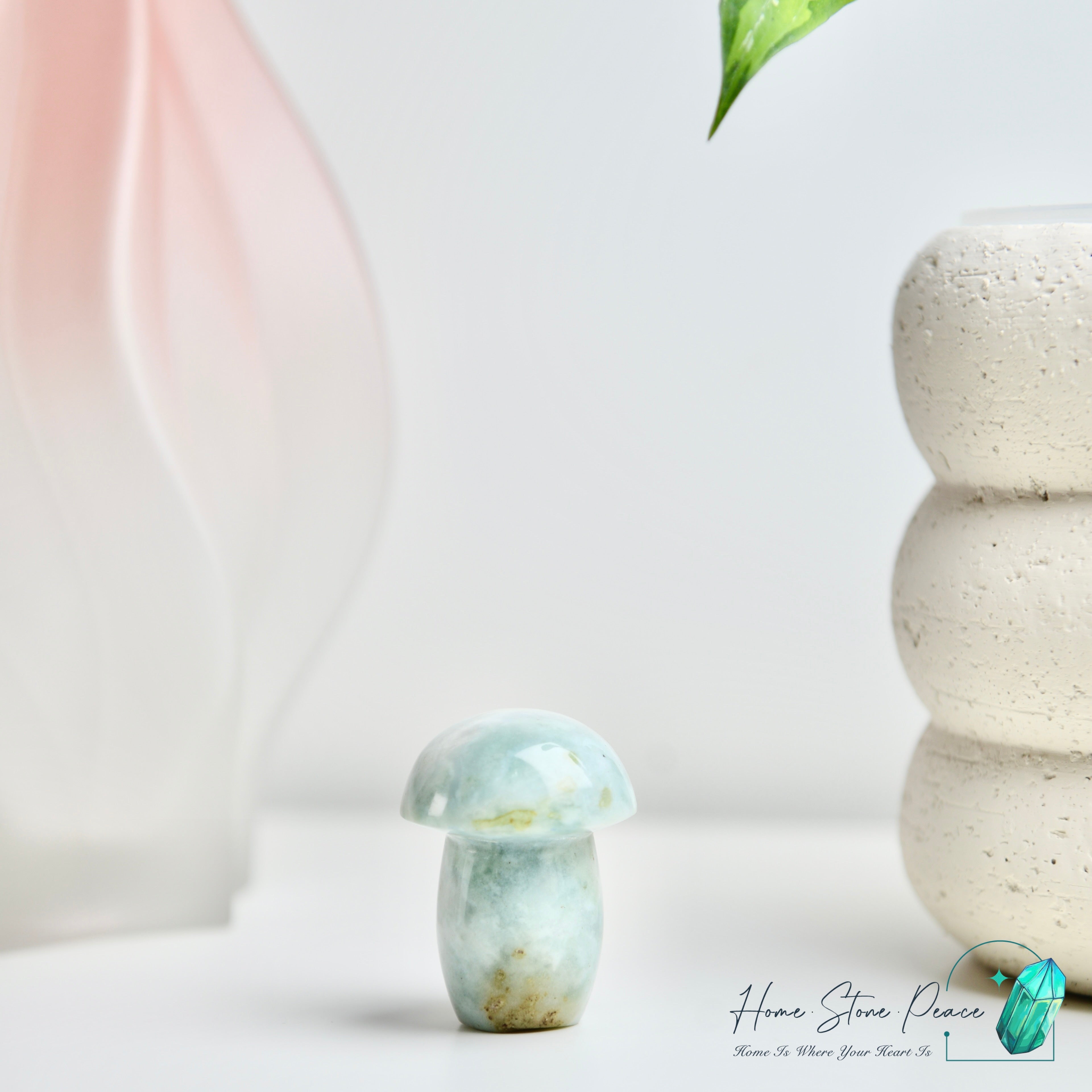 海洋碧玉蘑菇 Ocean Jasper Mushroom