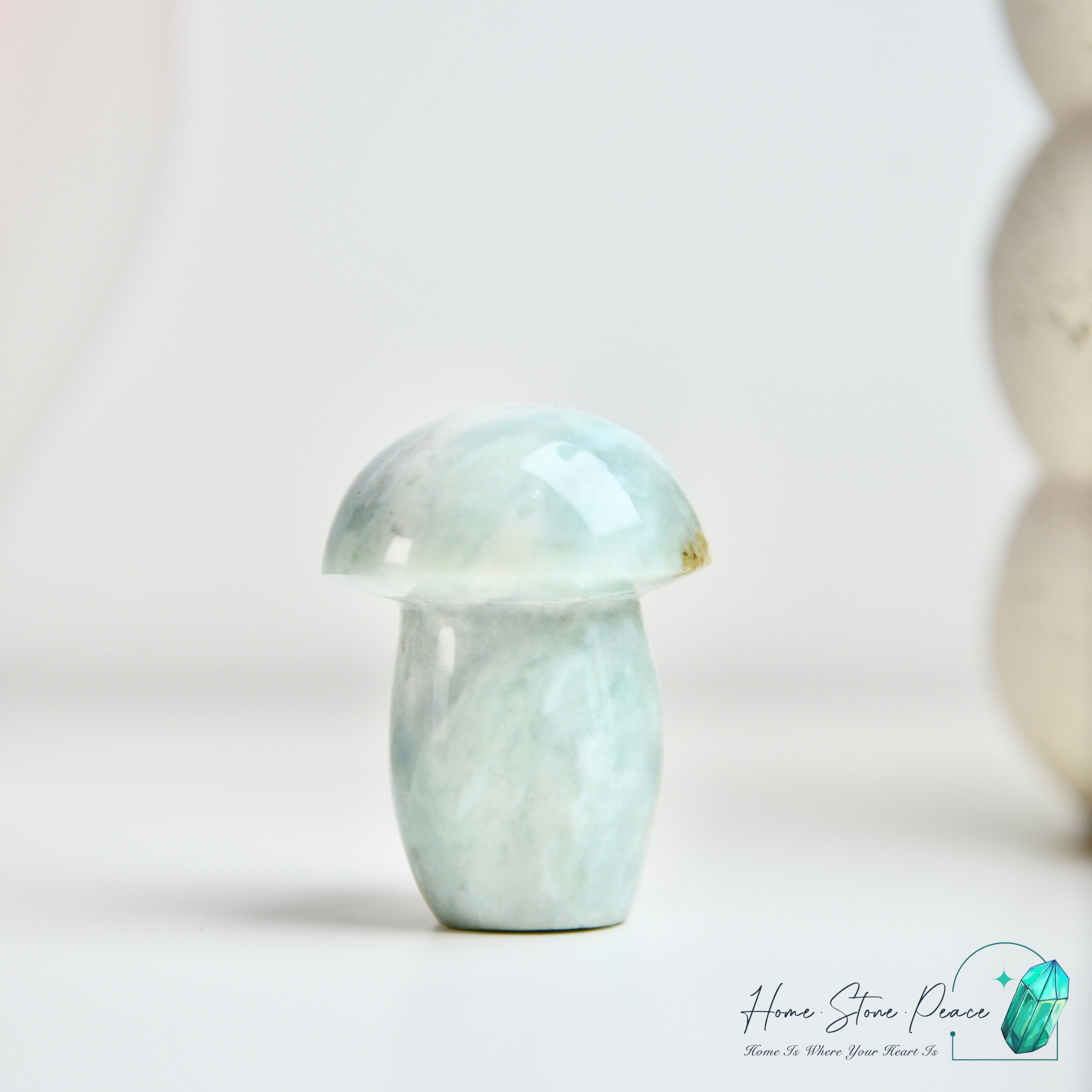海洋碧玉蘑菇 Ocean Jasper Mushroom