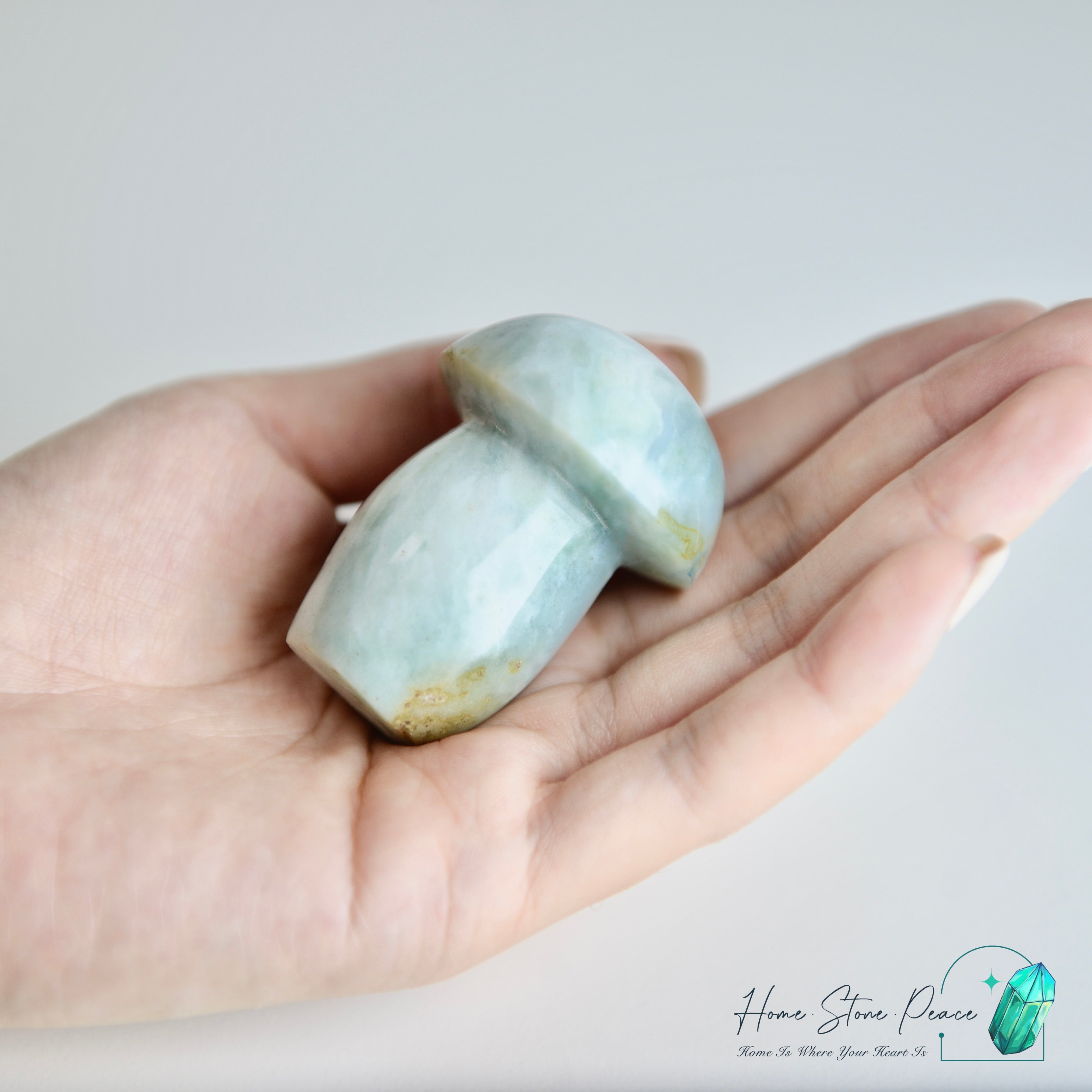 海洋碧玉蘑菇 Ocean Jasper Mushroom