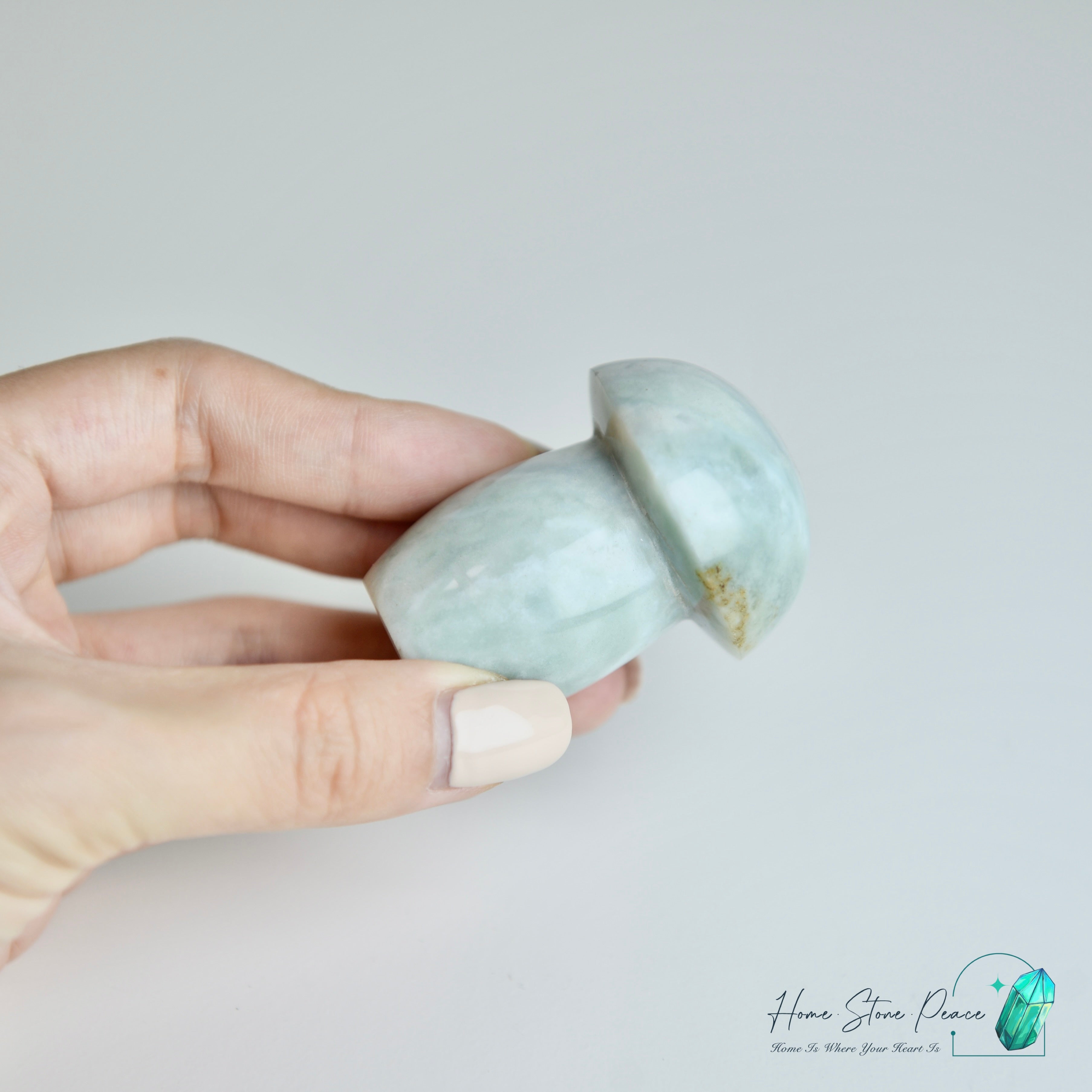 海洋碧玉蘑菇 Ocean Jasper Mushroom