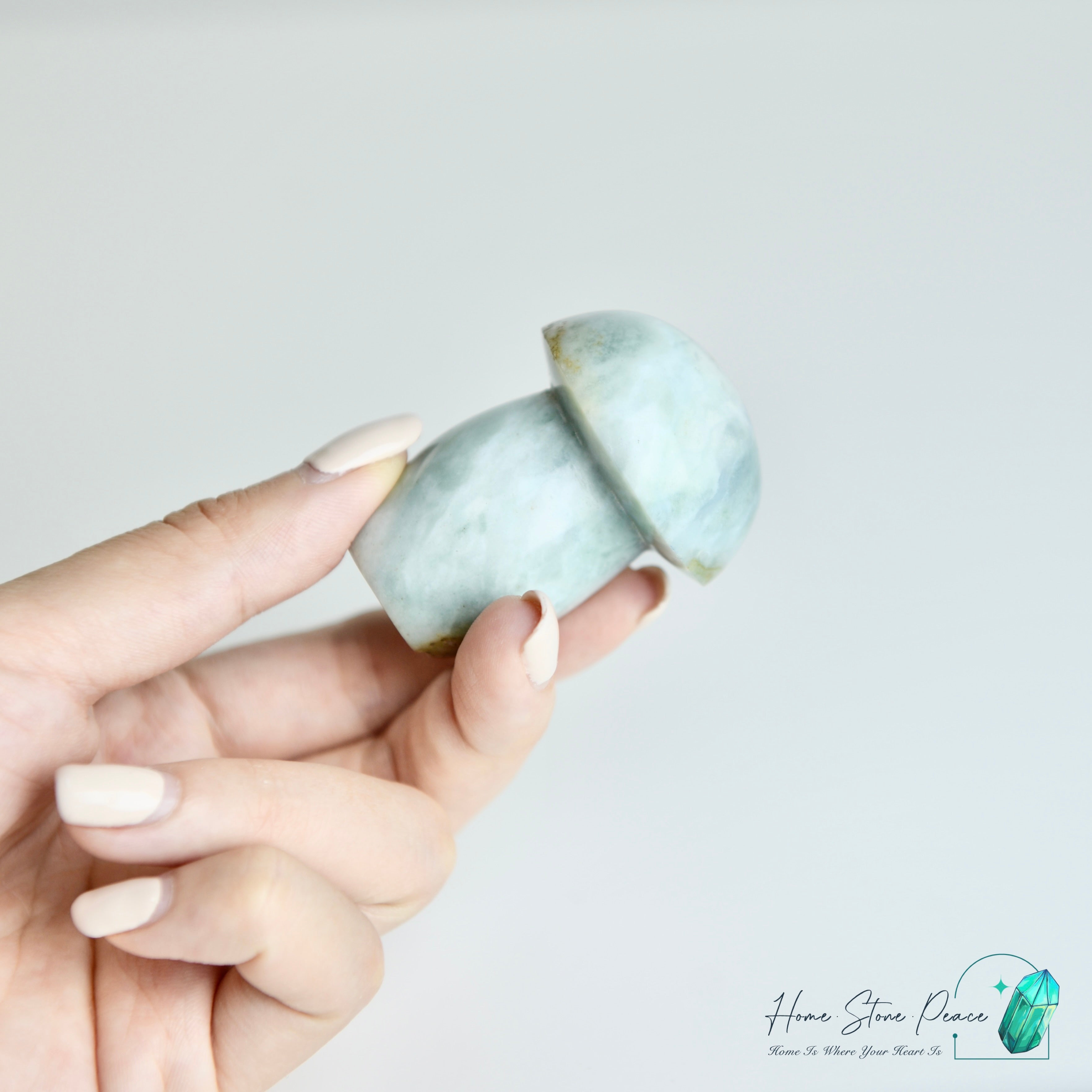 海洋碧玉蘑菇 Ocean Jasper Mushroom