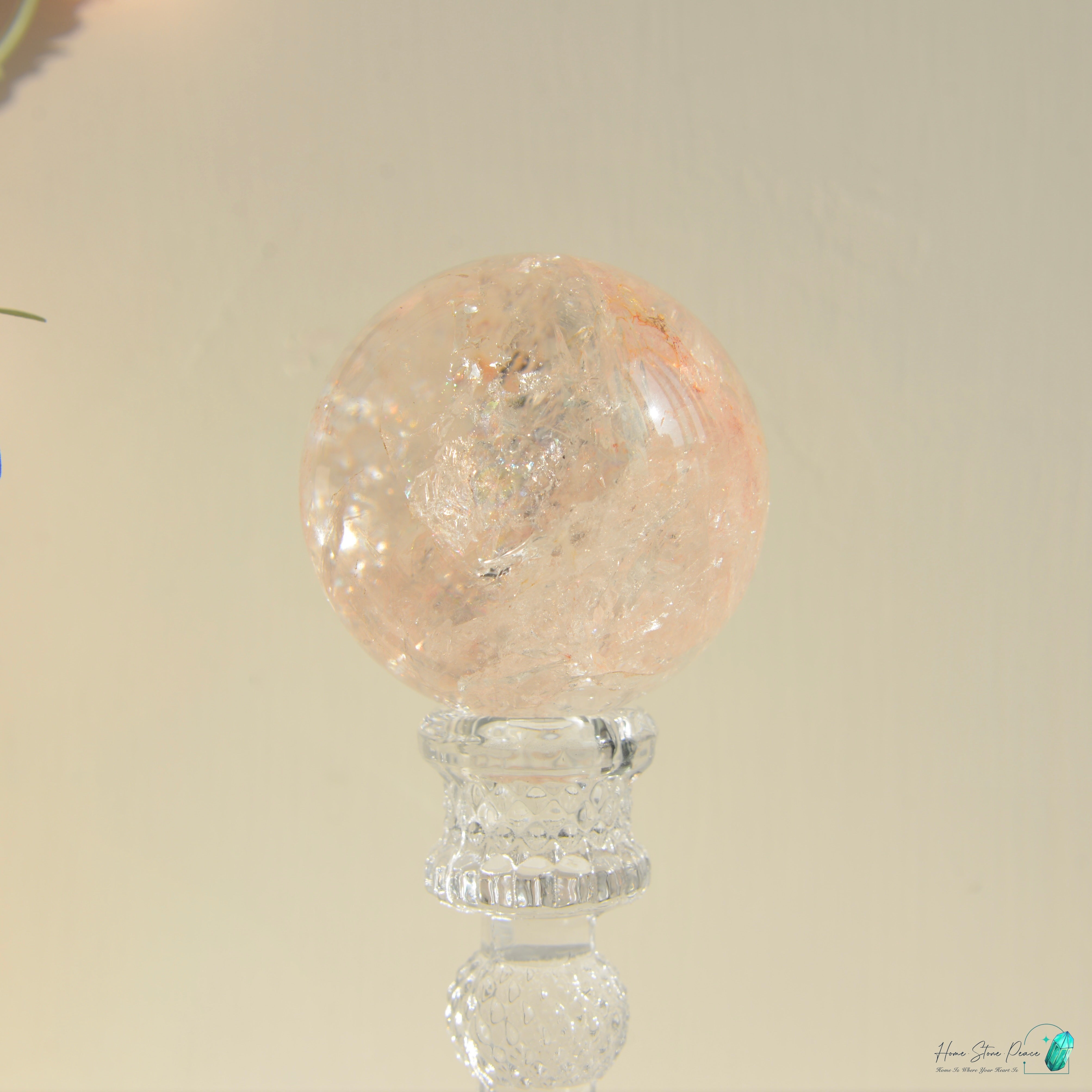 精品粉紅膠花球(中型)Premium Pink Hematoid Sphere