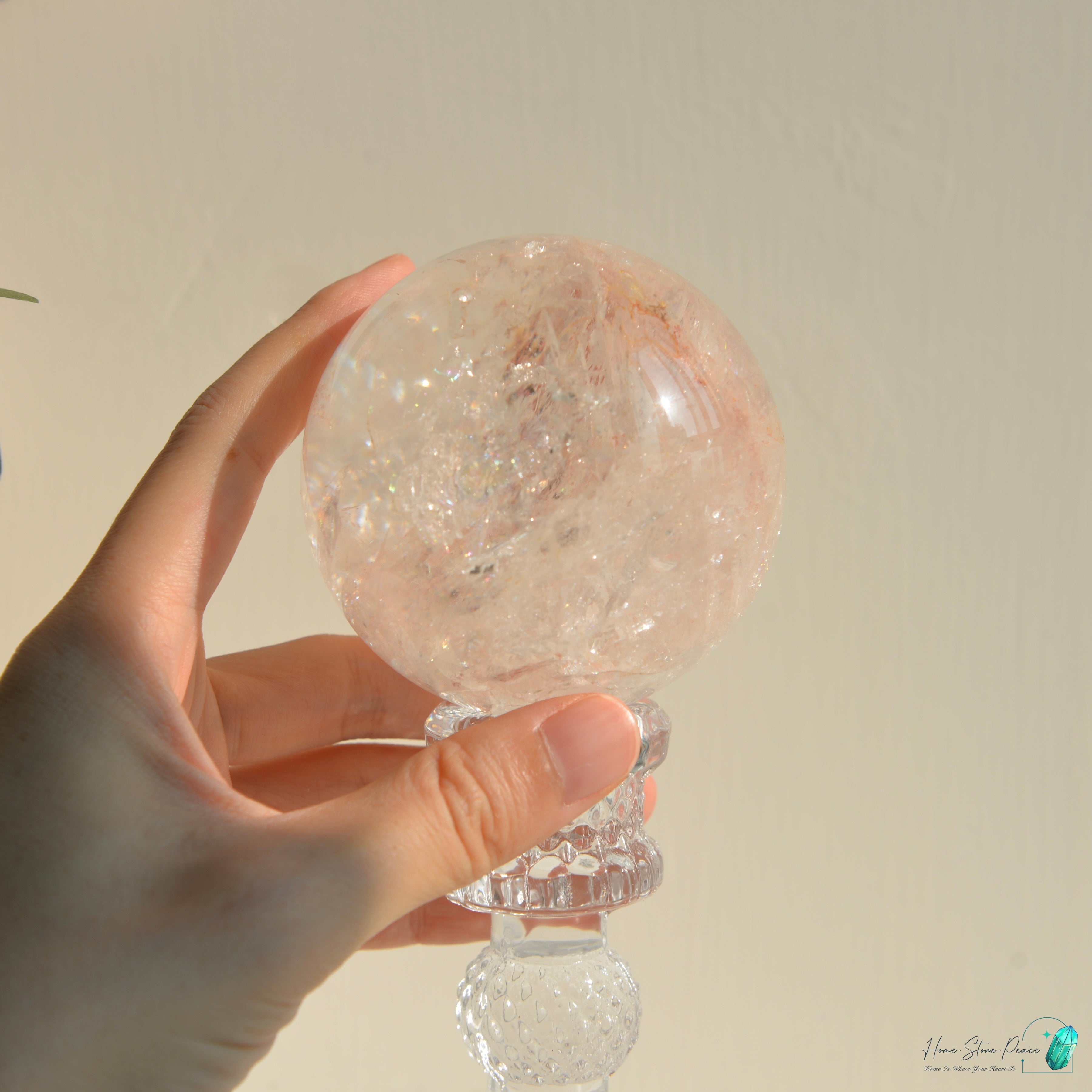 精品粉紅膠花球(中型)Premium Pink Hematoid Sphere