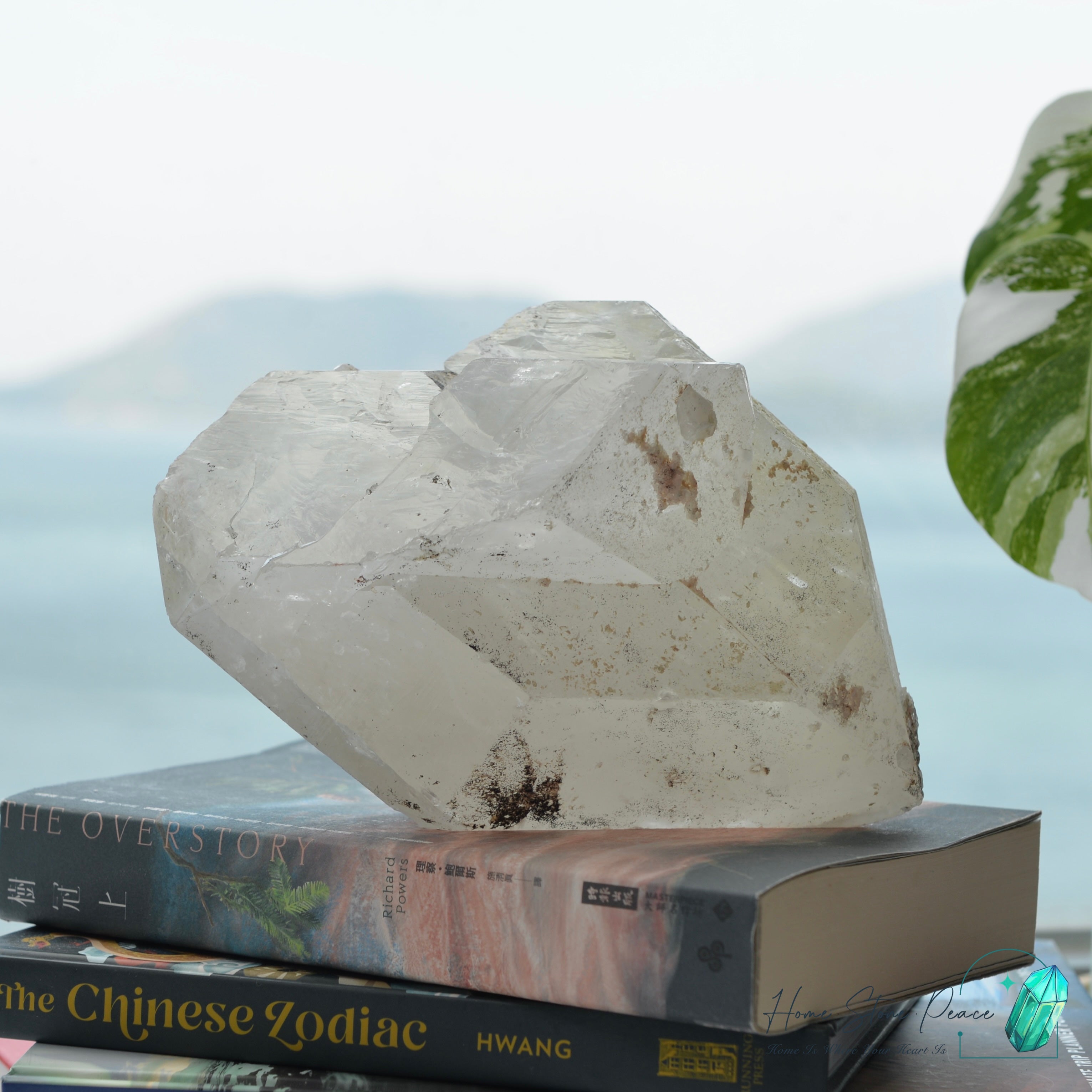 原皮西藏雙尖白水晶 Raw Tibetan Double Terminated White Quartz