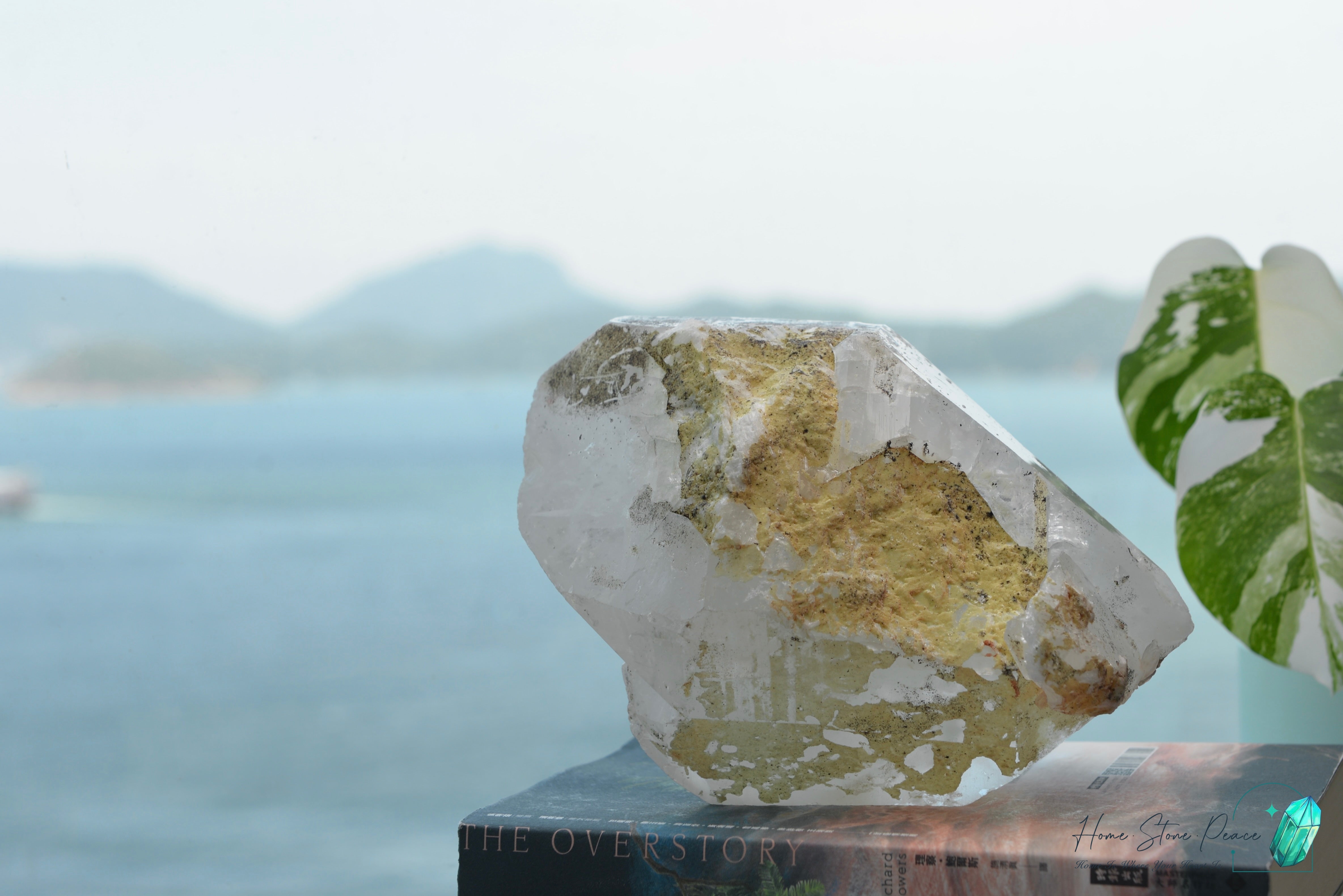 原皮西藏雙尖白水晶 Raw Tibetan Double Terminated White Quartz
