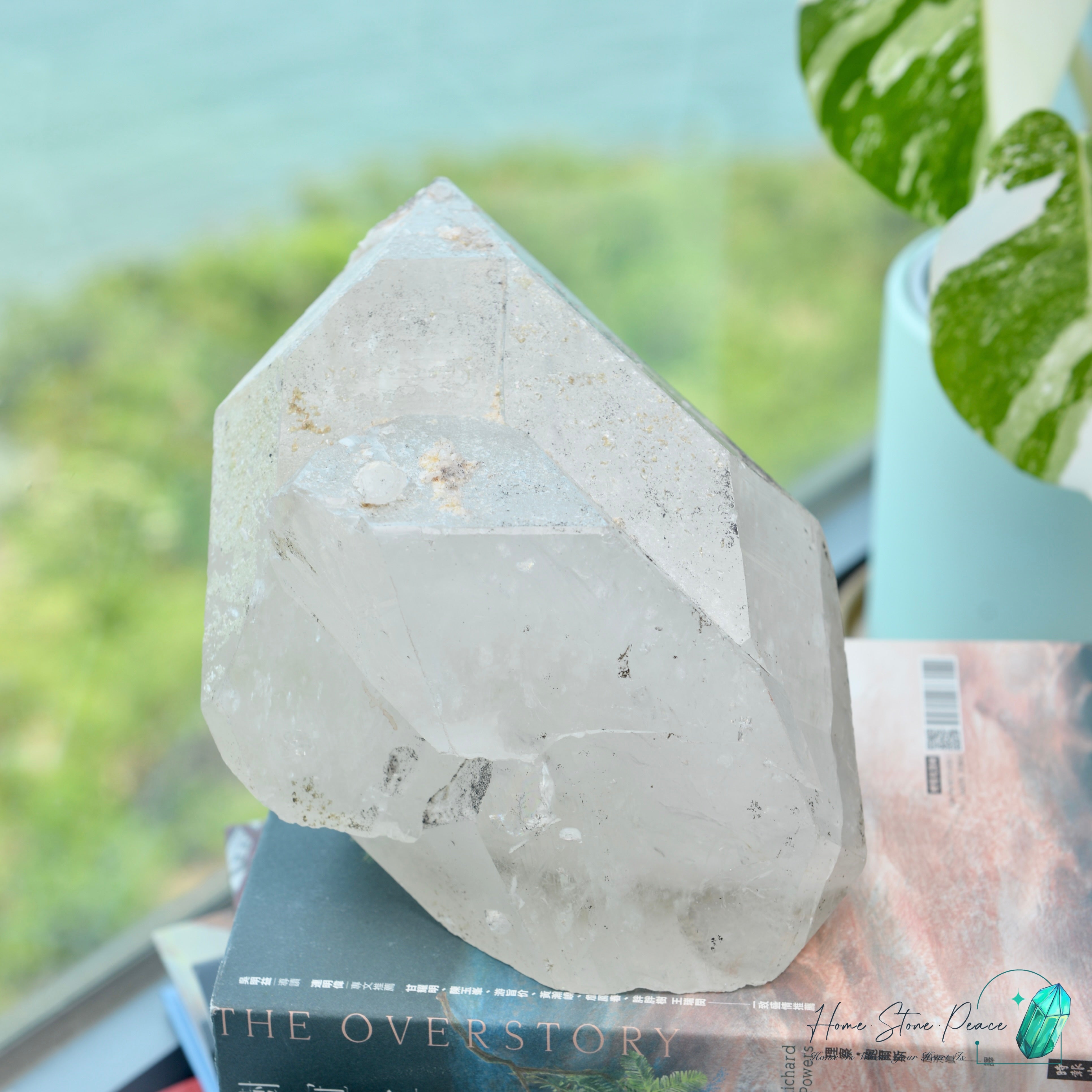 原皮西藏雙尖白水晶 Raw Tibetan Double Terminated White Quartz