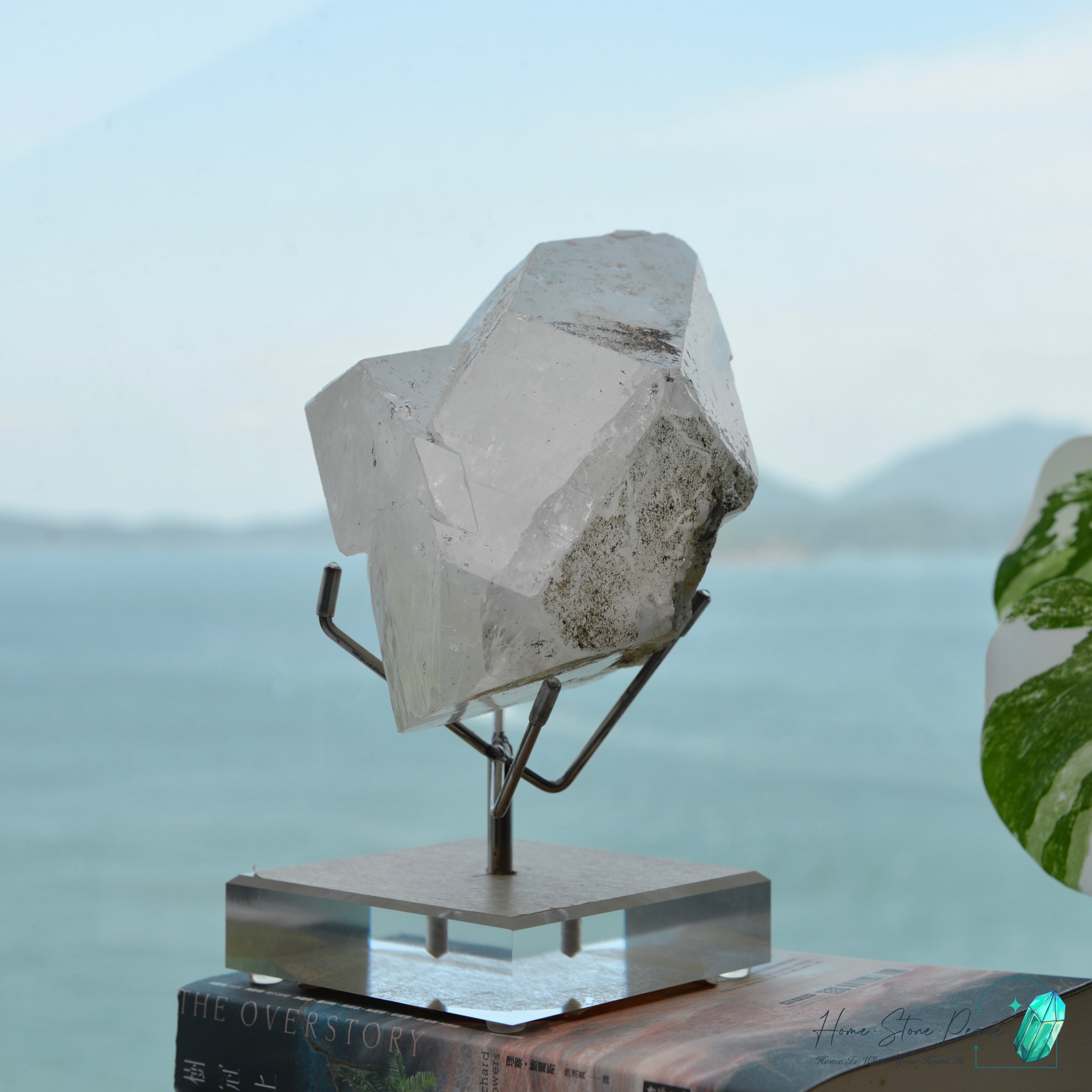 原皮西藏雙尖白水晶 Raw Tibetan Double Terminated White Quartz