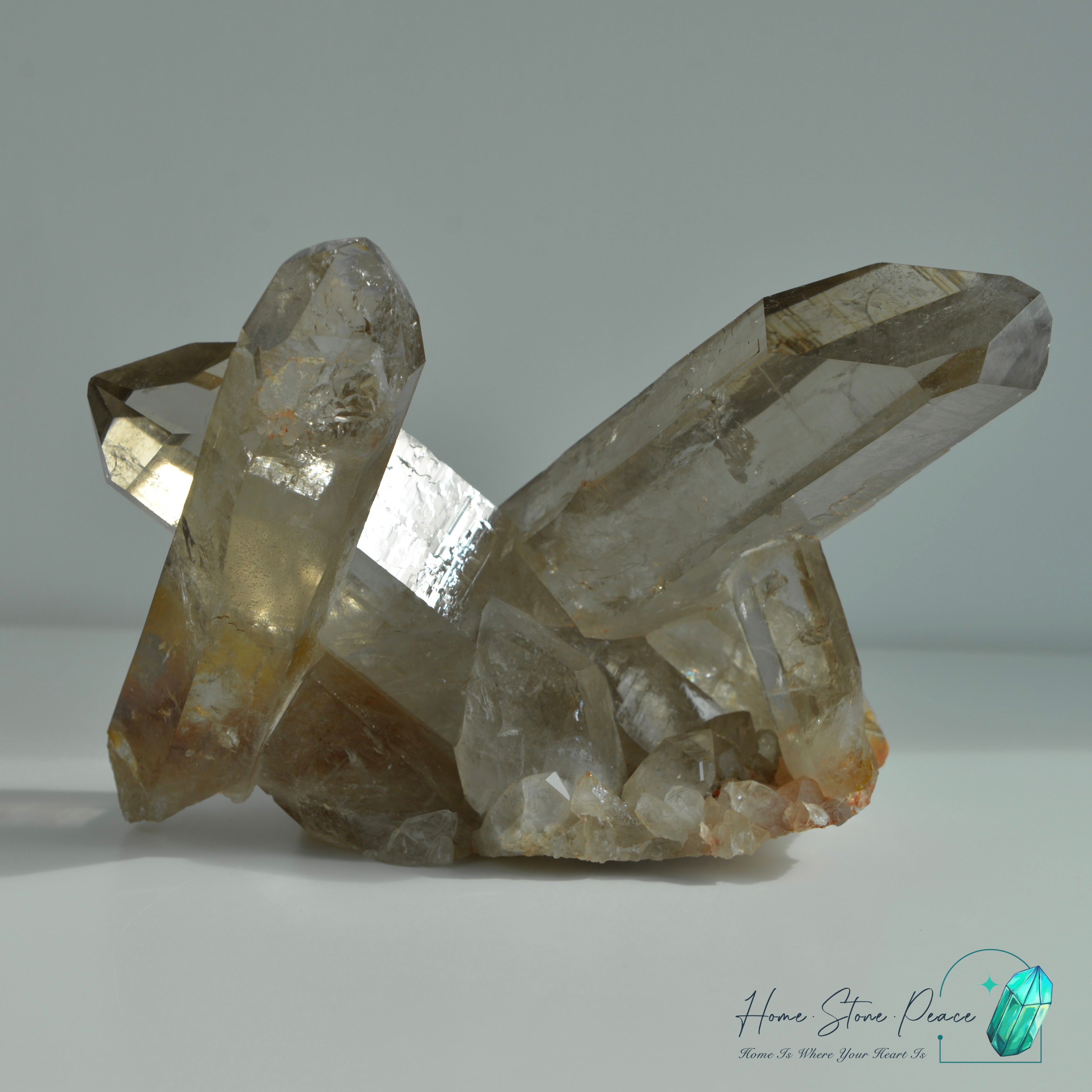 巴西茶晶簇黃金療癒者共生 Brazilian Smoky Quartz Cluster with Golden Healer