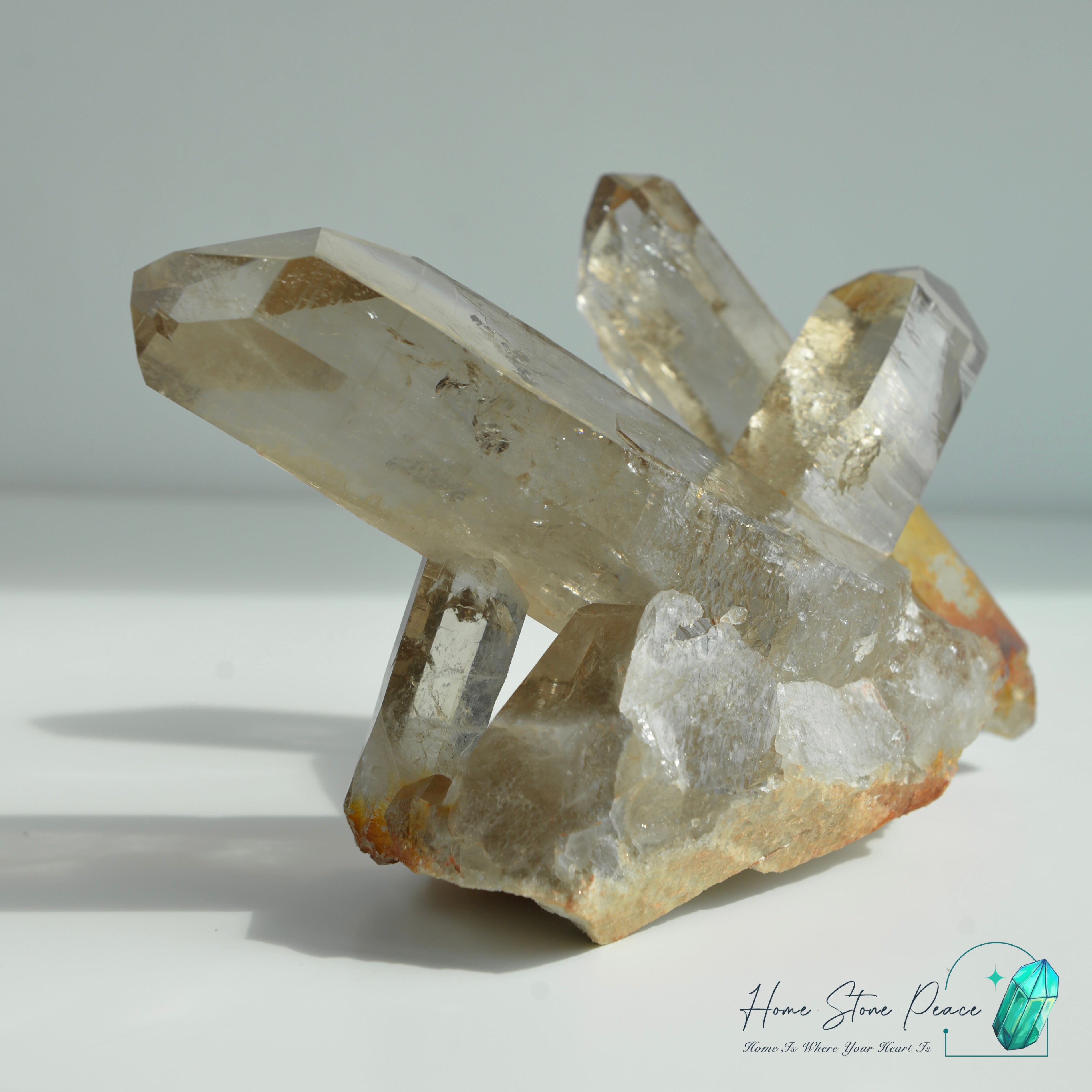 Brazilian Smoky Quartz Cluster with Golden Healer 巴西茶晶簇黃金療癒者共生