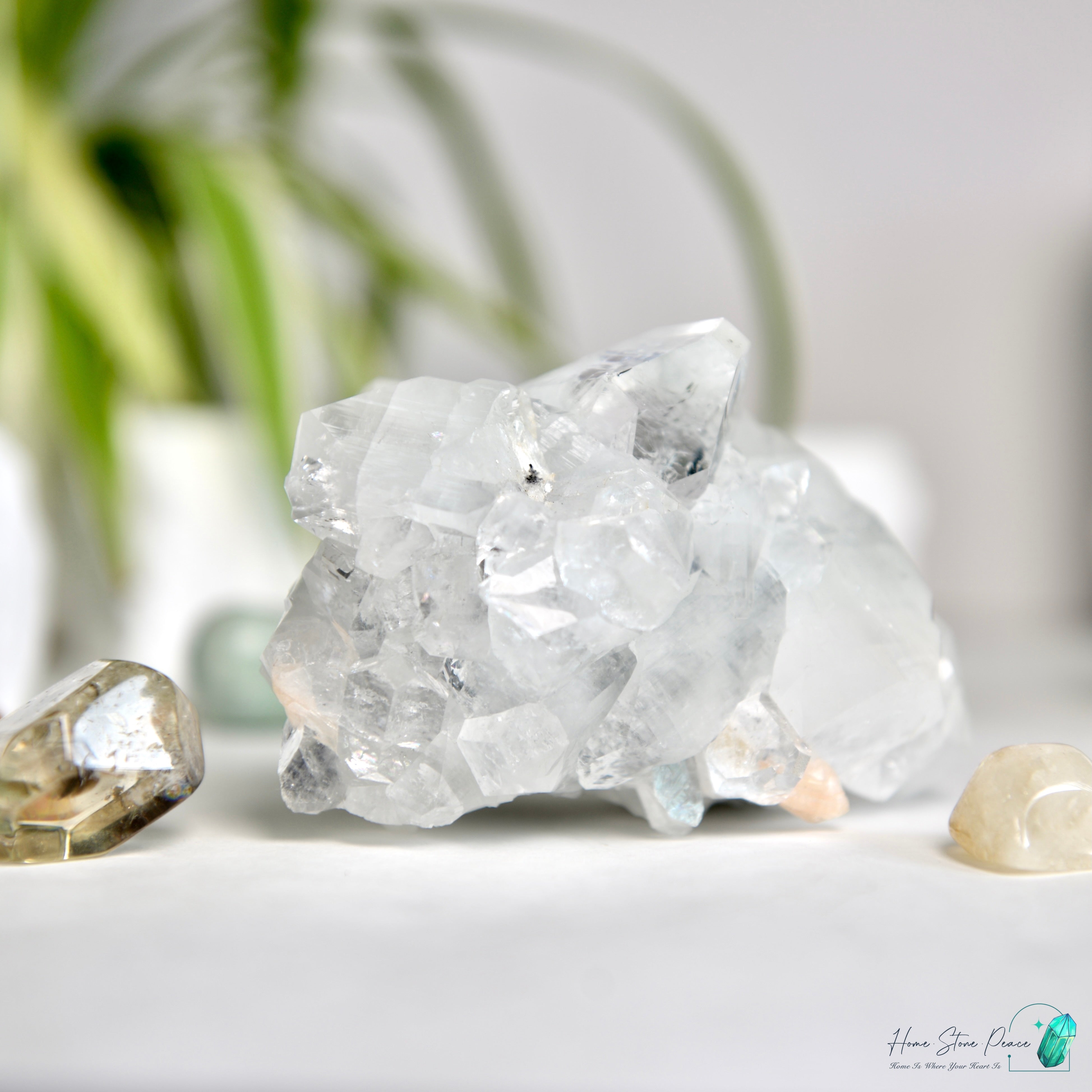 大顆鑽石魚眼石 Diamond Apophyllite Cluster