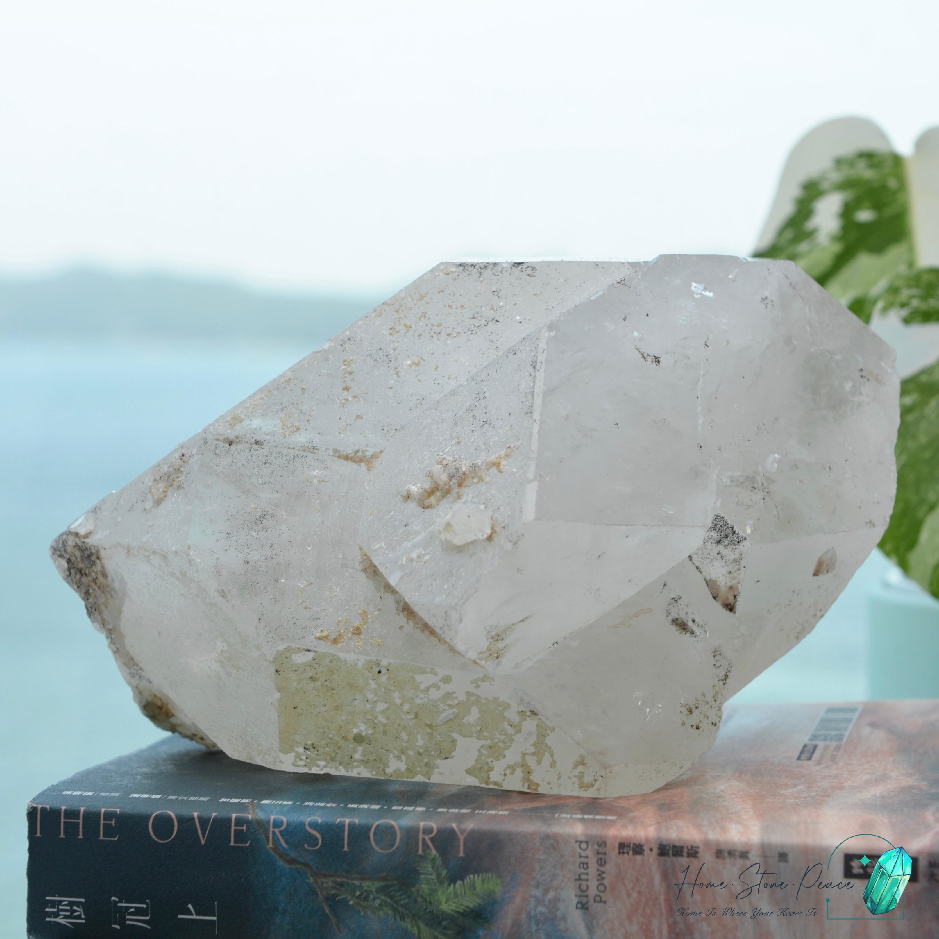 Raw Tibetan Double Terminated White Quartz 原皮西藏雙尖白水晶