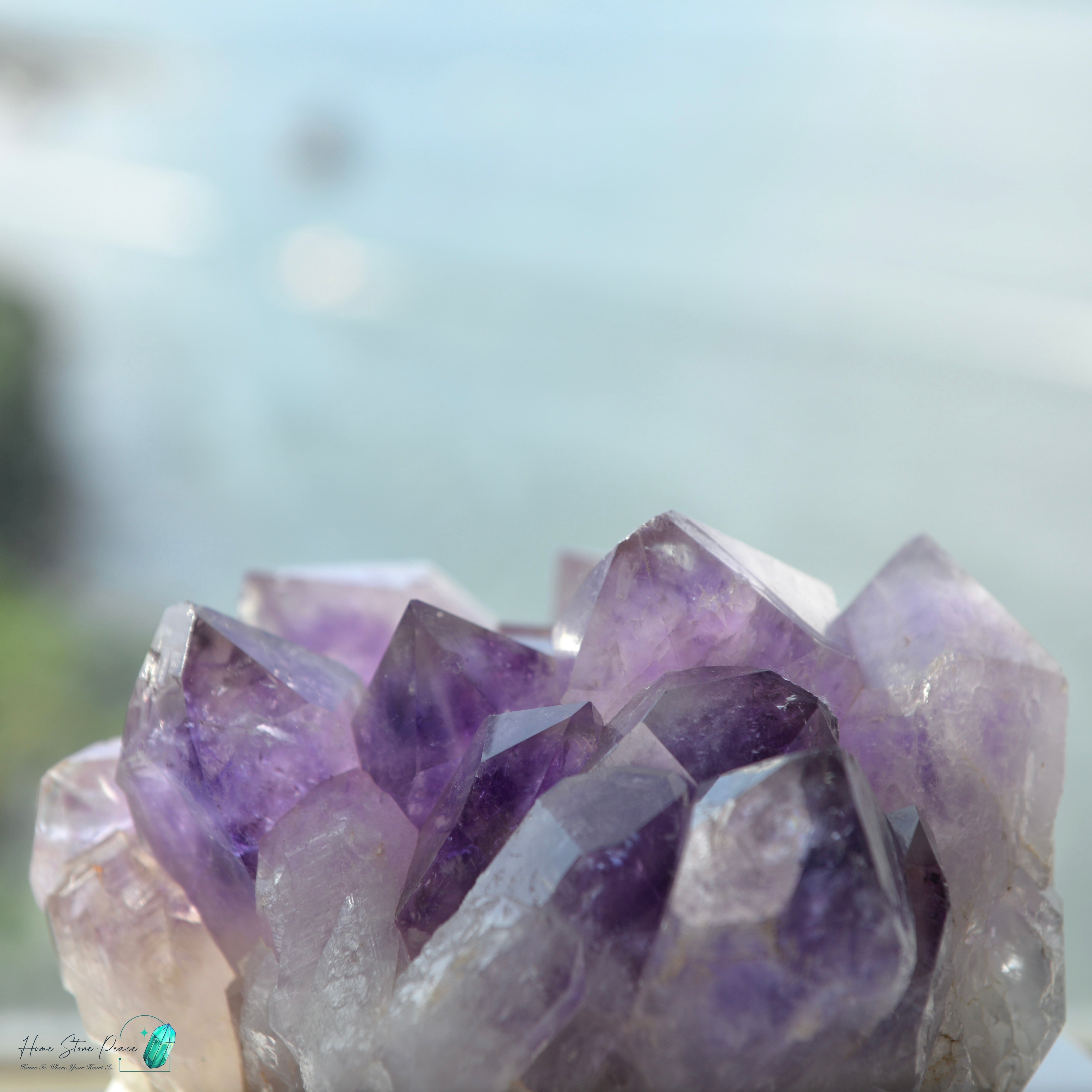 玻利維亞紫水晶簇 (大型）Natural Bolivian Amethyst Cluster (Large)