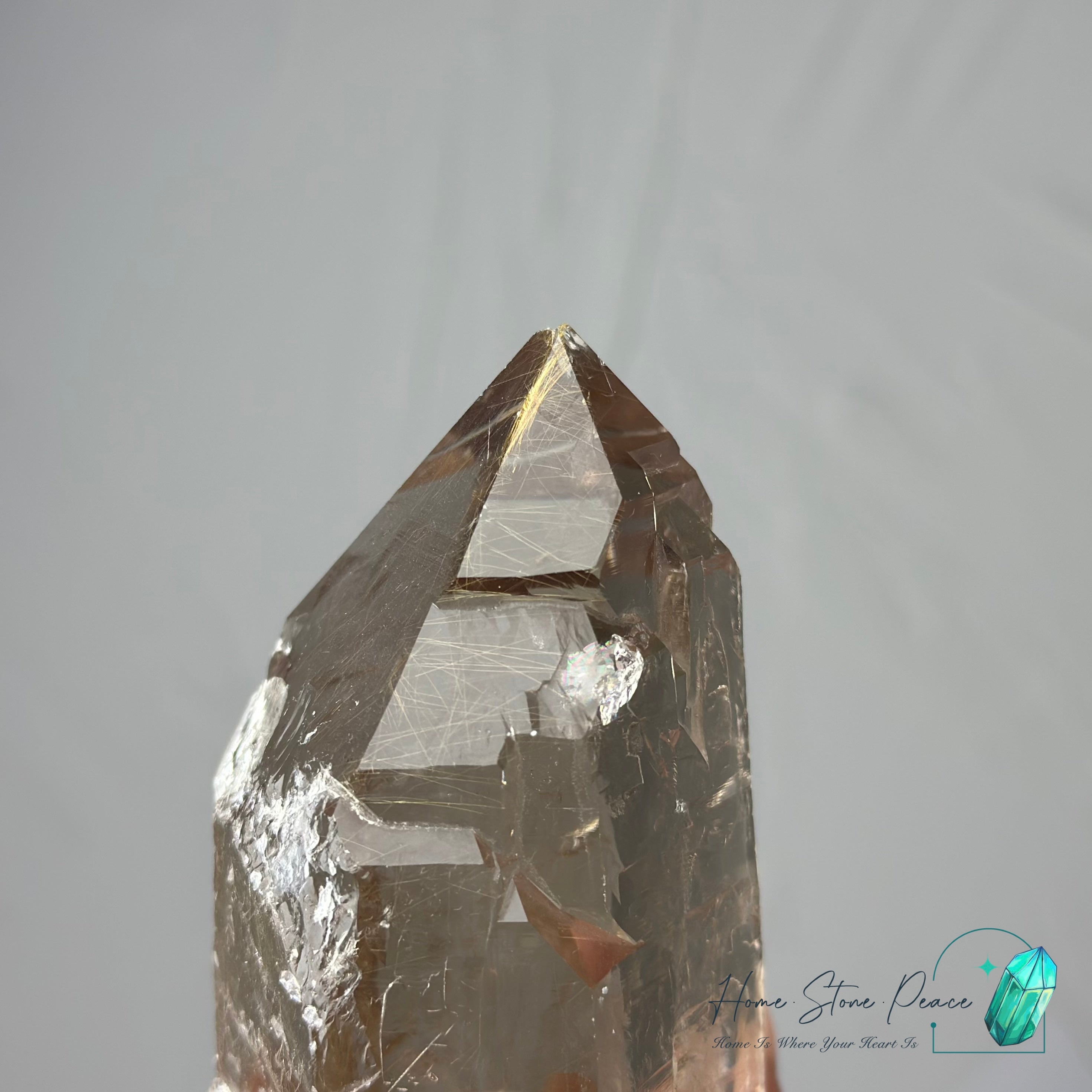 茶晶金髮晶共生 Smoky Quartz with Gold Rutile