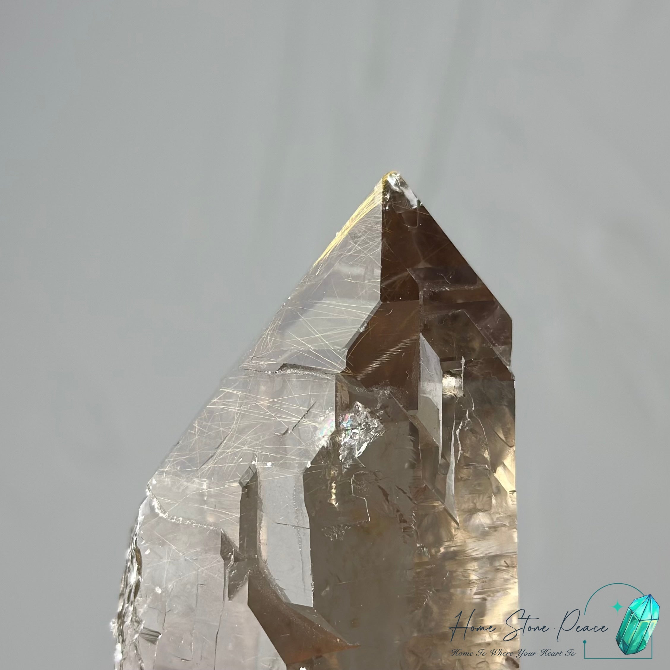 茶晶金髮晶共生 Smoky Quartz with Gold Rutile