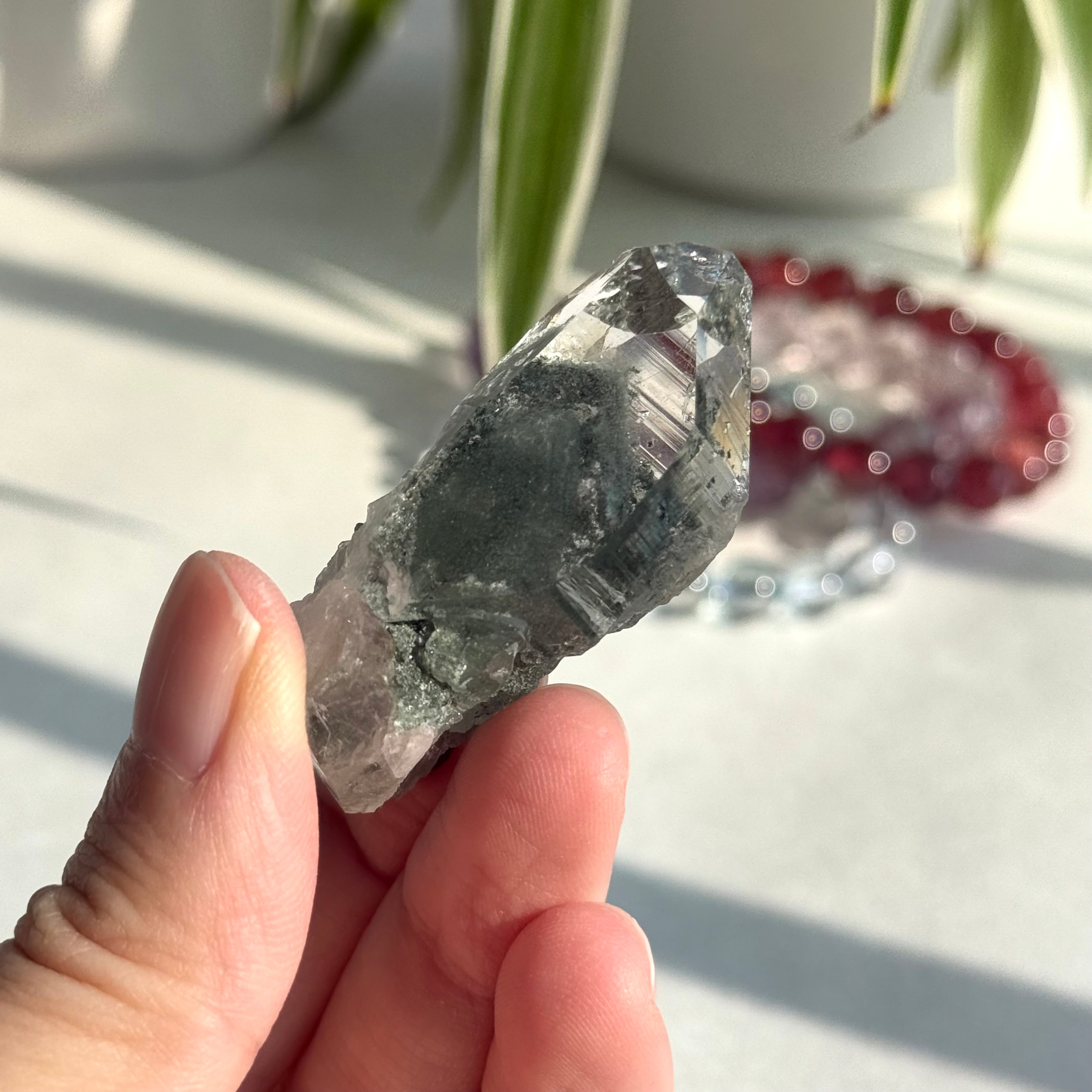 精品喜馬拉雅山綠泥共生水晶 Premium Himalayan Quartz with Green Chlorite