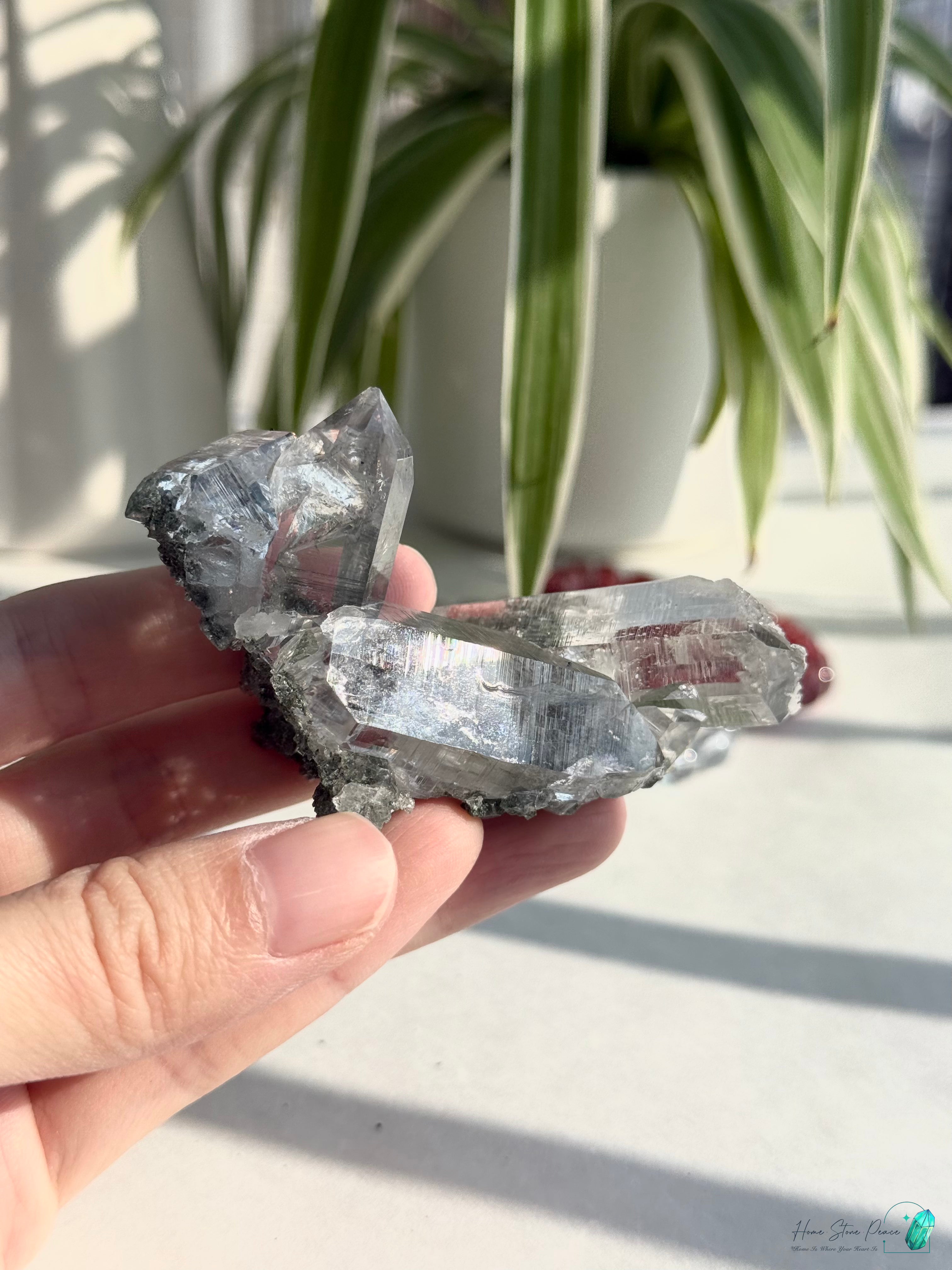 精品喜馬拉雅山綠泥共生水晶 Premium Himalayan Quartz with Green Chlorite